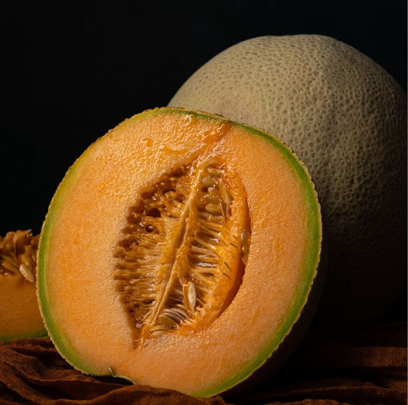 Melón Galia