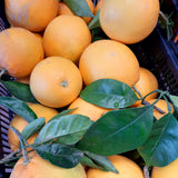 Naranjas HOJAS (1Kg Aprox.)