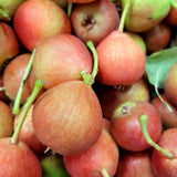 Peritas de San Juan (1Kg aprox.)