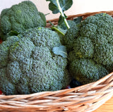 Brócoli (600-700 Aprox.)