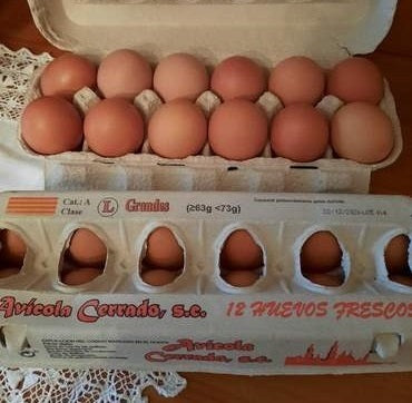 Huevos frescos docena (L),  – La tienda de Viver