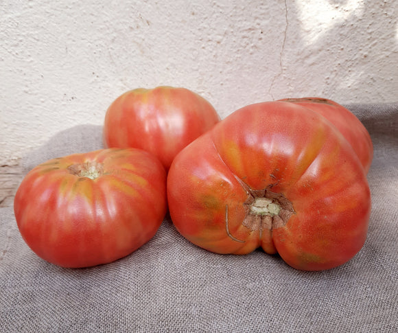 TOMATE ROSA